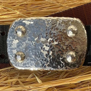 Large stainless stee buckle with Sea Foam finish