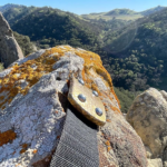 Seafarer Belt with large hammered brass buckle and 1.5" strap