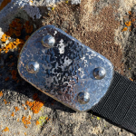 Toughest Belt with a Large stainless steel buckle with Sea Foam finish